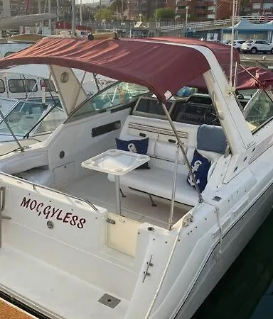 Barco Acogedor En El Puerto Del