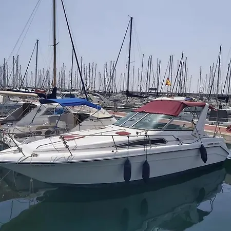 Barco Acogedor En El Puerto Del Botel *